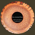 Brown,e - Universal Flute - Music CD