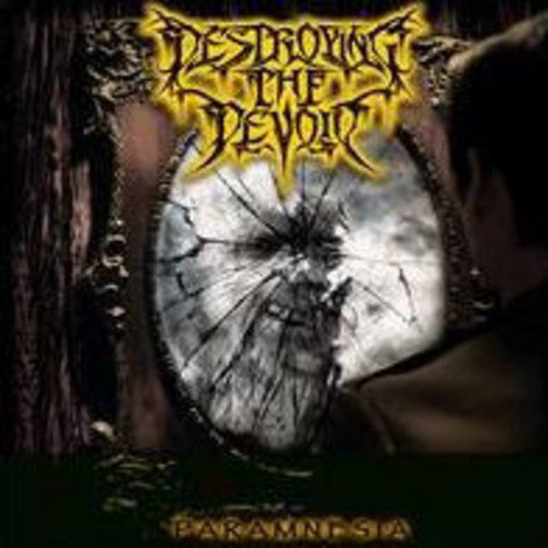 Destroying The Devoid - Paramnesia - Vinyl Record