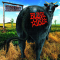 Blink 182 - Dude Ranch - Vinyl Record