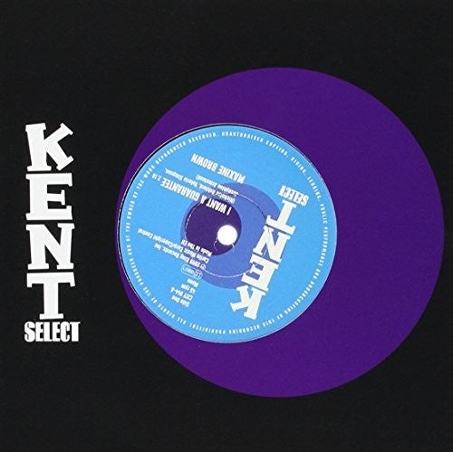 Brown,maxine / Turner,sonny / Sound Limited - I Want A Guarantee / Now That You're Gone - Vinyl Record