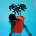 Sunlit Youth [LP] Vinyl Record