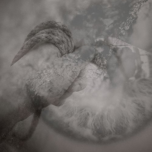 Torpor / Sonance - Split - Vinyl Record