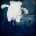 Tendres Tenebres / Various - Tendres Tenebres / Various - Vinyl Record