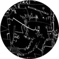 4004 - Body Night Lies - Vinyl Record