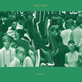 Dalthom - Frame Slip - Vinyl Record