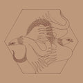 Ertunc,huseyin / Dogusel,dogan / Tan,cem - Gumusluk Sessions: At Lon's - Vinyl Record