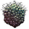 Tesseract - Errai - Vinyl Record