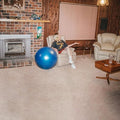 Jacklin,julia - Don't Let The Kids Win - Music CD