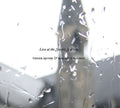 Quinn,toner / Bourke,malachy - Live At The Steeple Sessions - Music CD