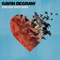 Degraw,gavin - Something Worth Saving - Music CD