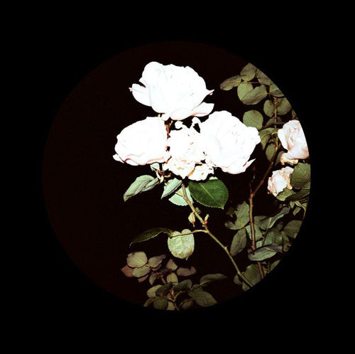 Bpbl01.2 / Various - Bpbl01.2 / Various - Vinyl Record