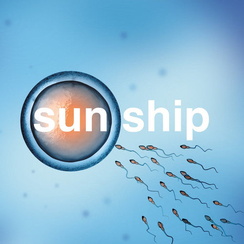Brian Jonestown Massacre - Sun Ship - Vinyl Record