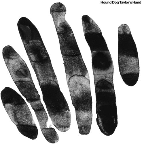 Hound Dog Taylor's Hand - Hound Dog Taylor's Hand - Vinyl Record