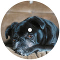 Split Secs - Corduroy City - Vinyl Record