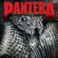 Pantera - Great Southern Outtakes - Vinyl Record