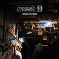 Mesh - Looking Skyward - Music CD
