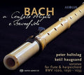 Bach,j.s. / Holtslag / Haugsand - Bach: Cembalo Obligato E Travers Solo - Super Audio CD