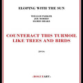 Eloping With The Sun - Counteract This Turmoil Like Trees & Birds - Music CD