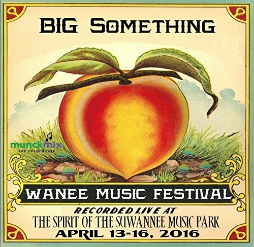 Big Something - Live At Wanee 2016 - Music CD