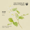 Choir Of King's College Cambridge - Farewell To Cambridge - Super Audio CD