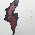 Riebl,felix - Paper Doors - Vinyl Record