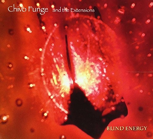 Funge,chivo & The Extensions - Blind Energy - Music CD