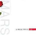 Thirty Seconds To Mars - Beautiful Lie - Vinyl Record