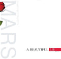 A Beautiful Lie [LP] Vinyl Record
