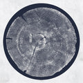 Montgomery,roy - R: Tropic Of Anodyne - Vinyl Record