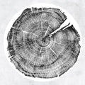 Montgomery,roy - M: Darkmotif Dancehall - Vinyl Record