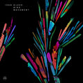 Isan - Glass Bird Movement - Vinyl Record