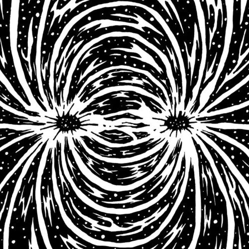 Fur Coat - Interstellar - Vinyl Record