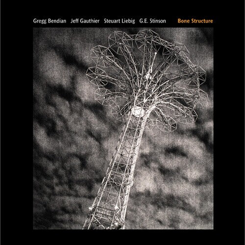 Bendian,gregg / Gauthier,jeff / Stinson,g.e. - Bone Structure - Music CD