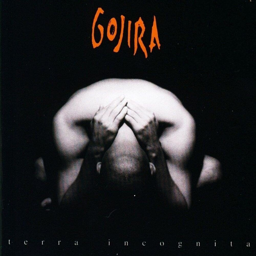 Terra Incognita [LP] Vinyl Record