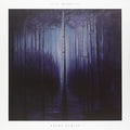 Beshevli,ilya - Night Forest - Vinyl Record