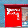Tijuana Panthers - Max Baker - Vinyl Record