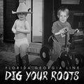 Dig Your Roots [LP] Vinyl Record