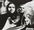 Wands - Faces - Music CD