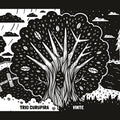 Curupira - Vinte - Music CD