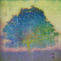 Johnson,eric - Ej - Music CD