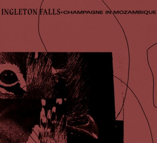 Ingleton Falls - Champagne In Mozambique - Vinyl Record