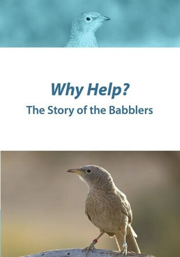 Why Help: The Story Of The Babblers - Why Help: The Story Of The Babblers - DVD