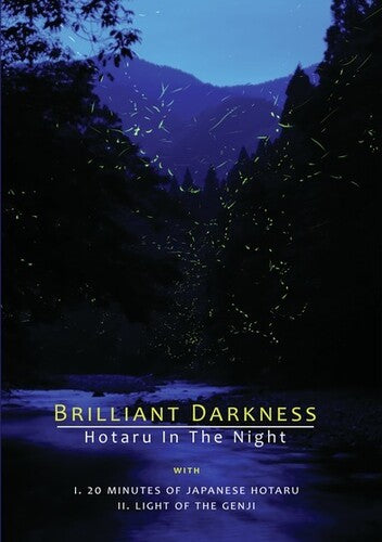 Brilliant Darkness - Brilliant Darkness - DVD