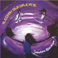 Bacelar,sandro - Alegrar Sua Saudade - Music CD