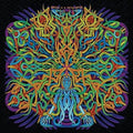 Gu - Reality Is A Hallucination - Music CD