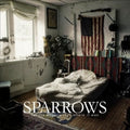 Sparrows - Let The Silence Stay Where It Was - Vinyl Record