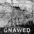 Gnawed - Pestilence Beholden - Music CD