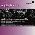 Schneider / Deutsches Symphonie-orchester Berlin - Soul Paintings - Music CD