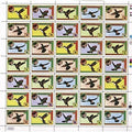 Hummingbird - Hummingbird - Music CD