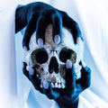 Gost - Possessor - Music CD
